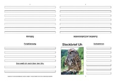 Uhu-Faltbuch-Steckbrief-vierseitig-L-4.pdf